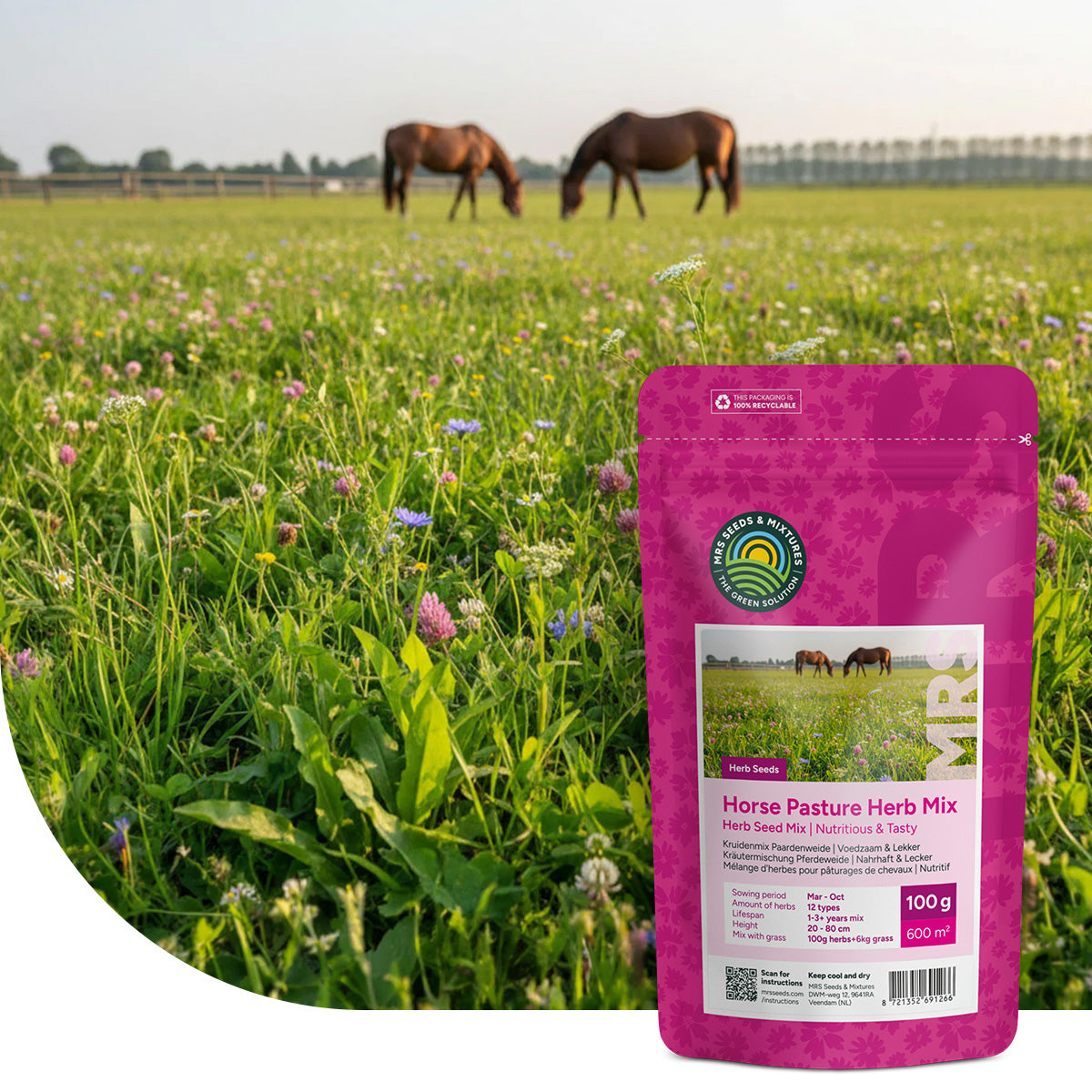 Kräutermischung Pferdeweide