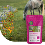 Pferdeweide Blumenmischung