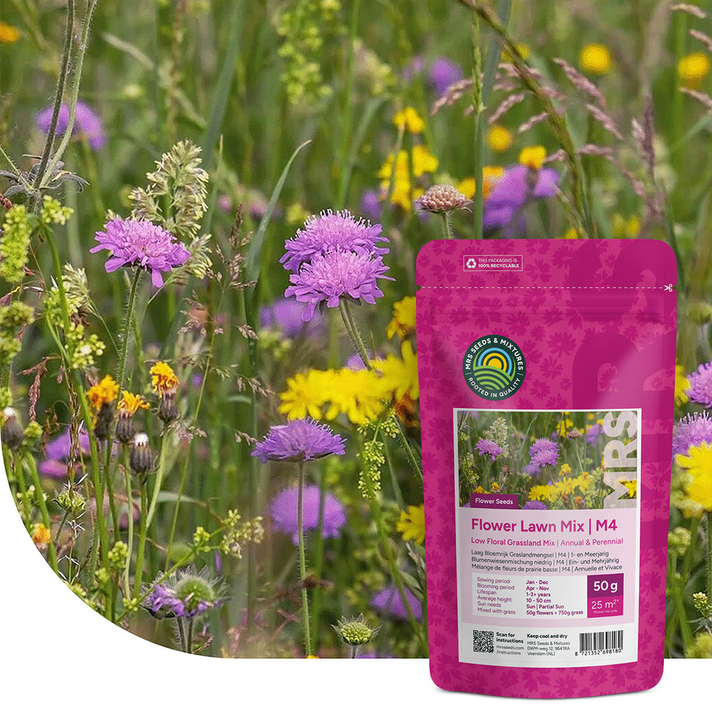 Typ M4 – Blumenwiesenmischung niedrigblühend