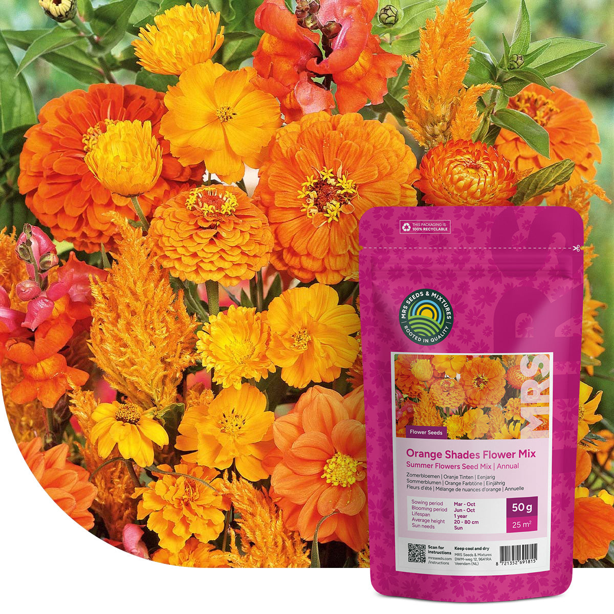 Sommerblumen Orange Farbtöne Mix