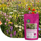 Typ B1 - Magerwiesen saatgut mehrjährig