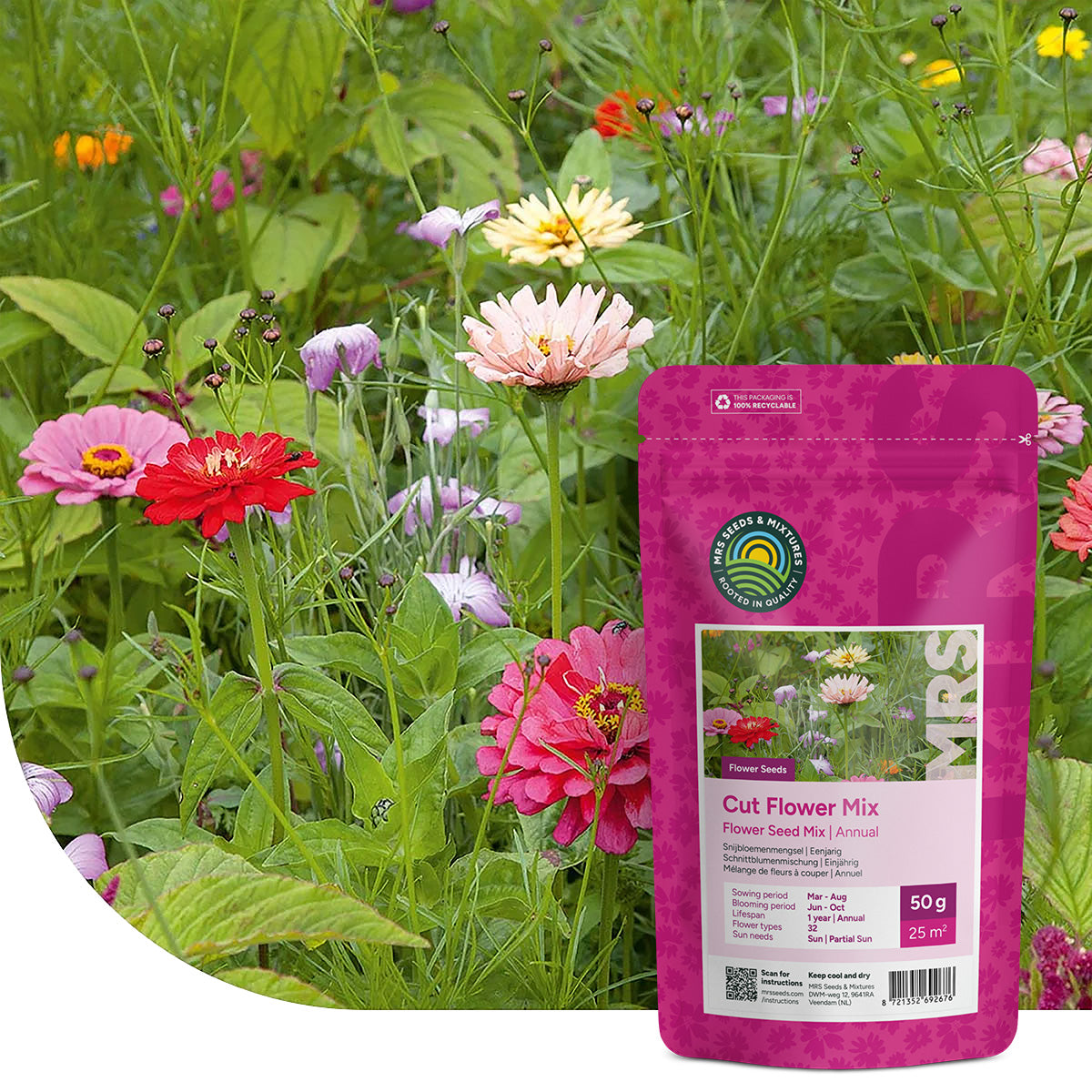 Schnittblumenmischung – einjährig