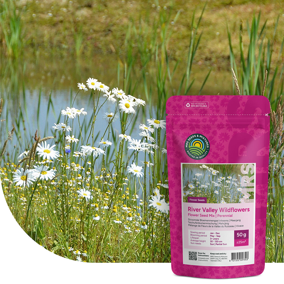Teichuferblumenmischung – Einheimisch