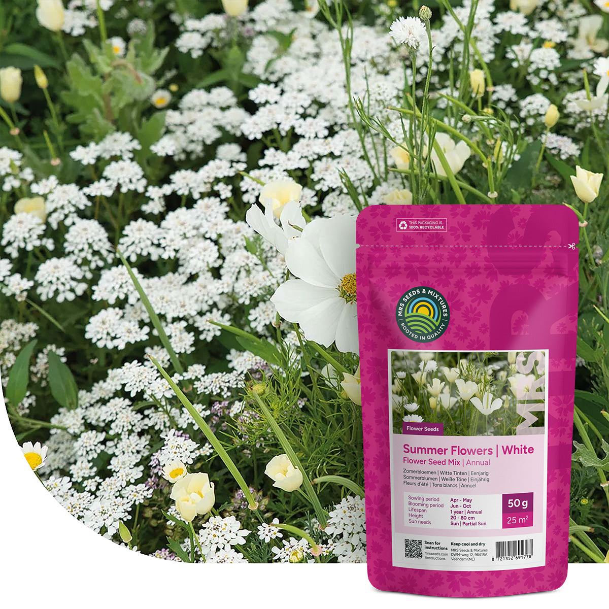 Sommerblumen Weiße Farbtöne Mix