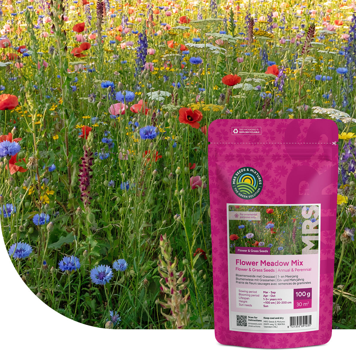 Blumenrasen | Blumenwiese mit Grassamen