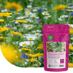 Typ G1 – Blumenwiesenmischung mehrjährig