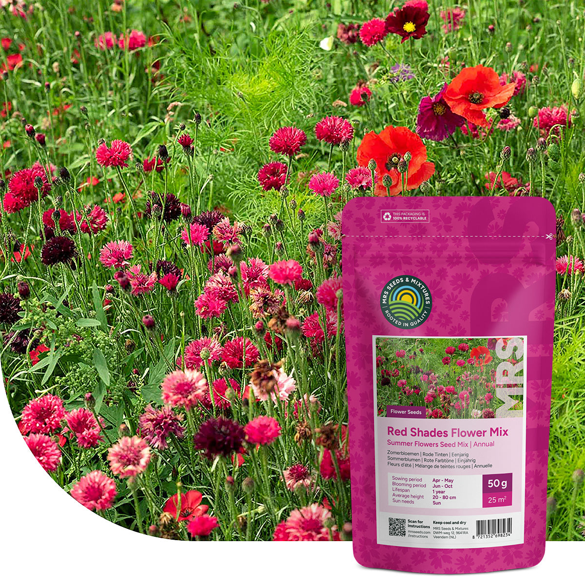 Sommerblumen Rote Farbtöne Mix