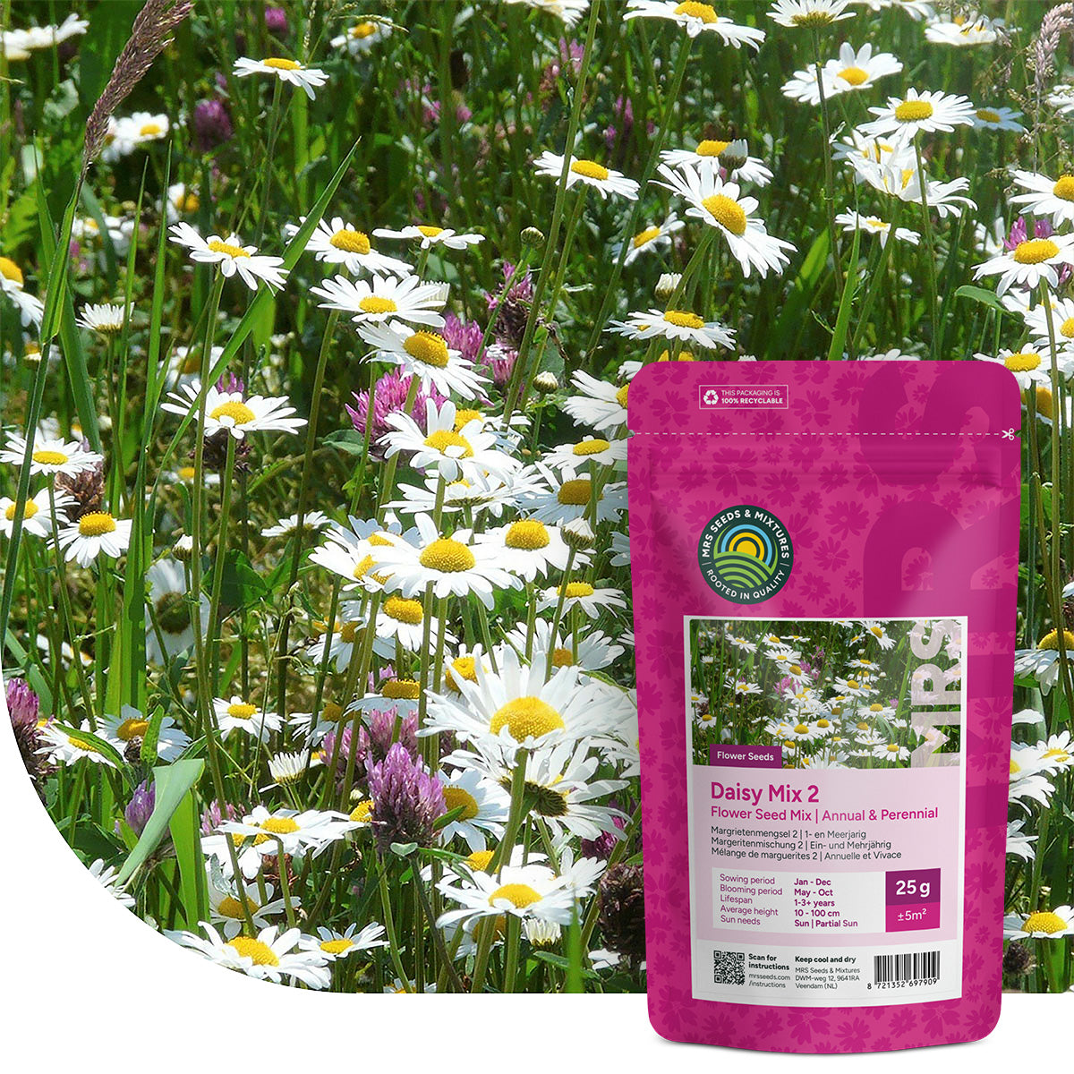Margeritenmischung 2 – Naturmischung