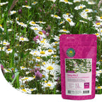 Margeritenmischung 2 – Naturmischung