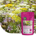Wildblumenmischung für Nützlinge