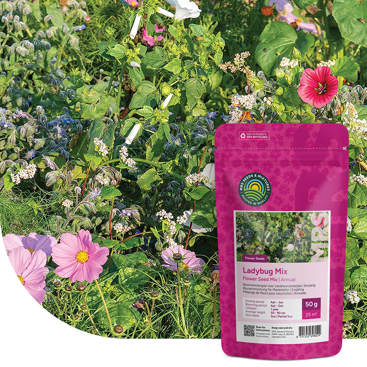 Blumenmischung für Marienkäfer