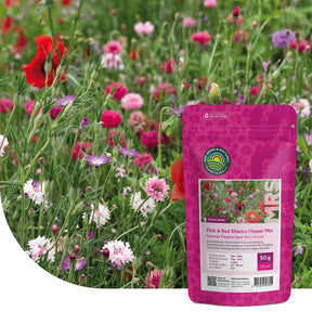 Sommerblumen Rosa & Rot Mix
