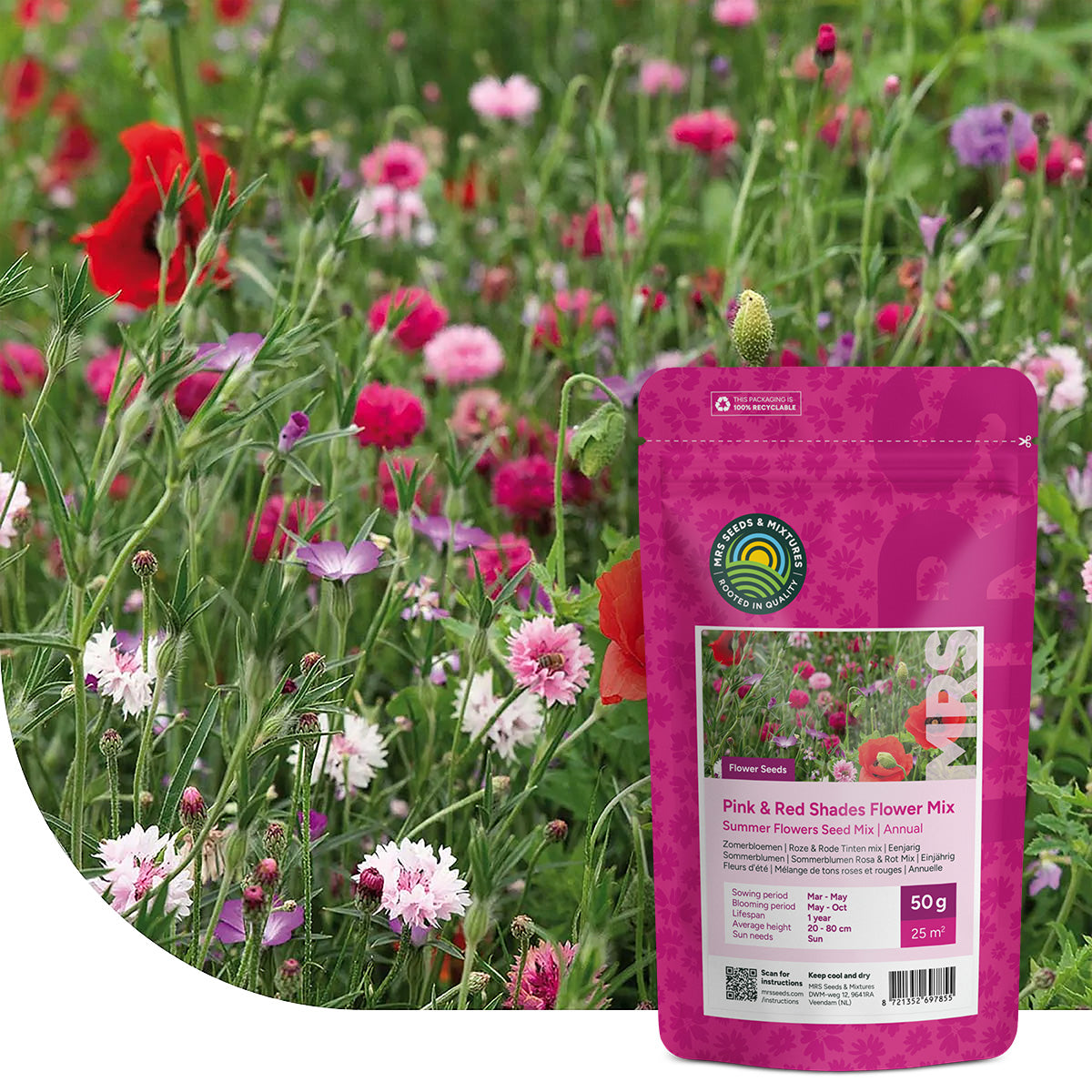 Sommerblumen Rosa & Rot Mix