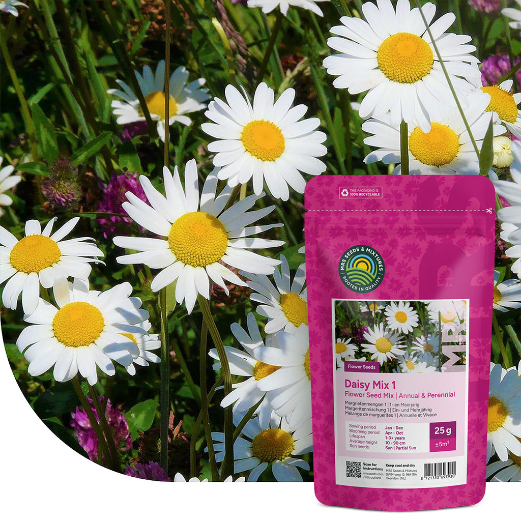 Margeritenmischung 1 – Naturmischung