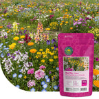 Bienenweidemischung niedrig ein- und mehrjährig