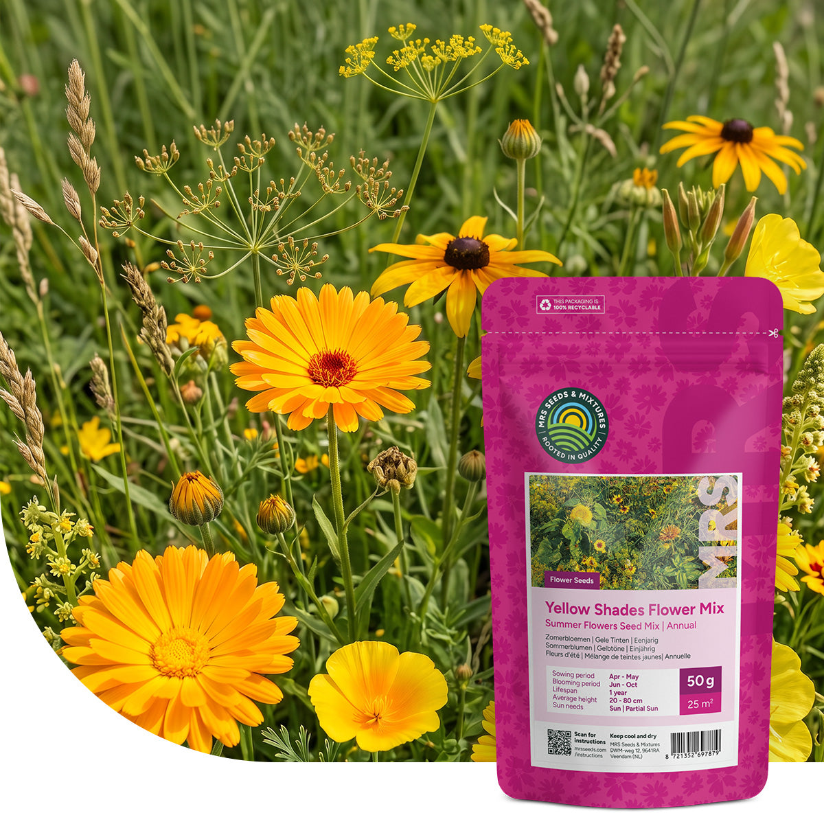 Sommerblumen Gelbtöne – Mix