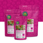 Bienen- und Hummelmischung ein- und mehrjährig