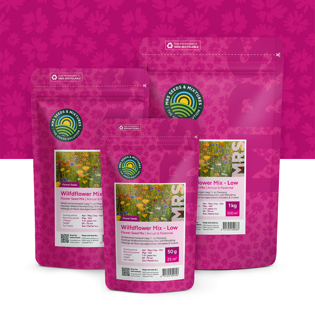 Niedrige Wildblumenmischung 1- und mehrjährig