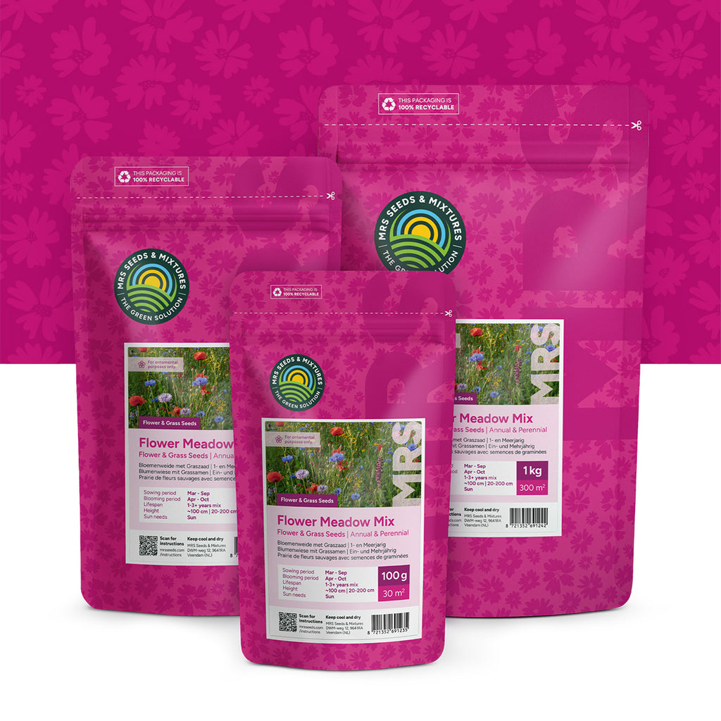 Blumenrasen | Blumenwiese mit Grassamen