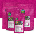 Tübinger Bienenweidemischung