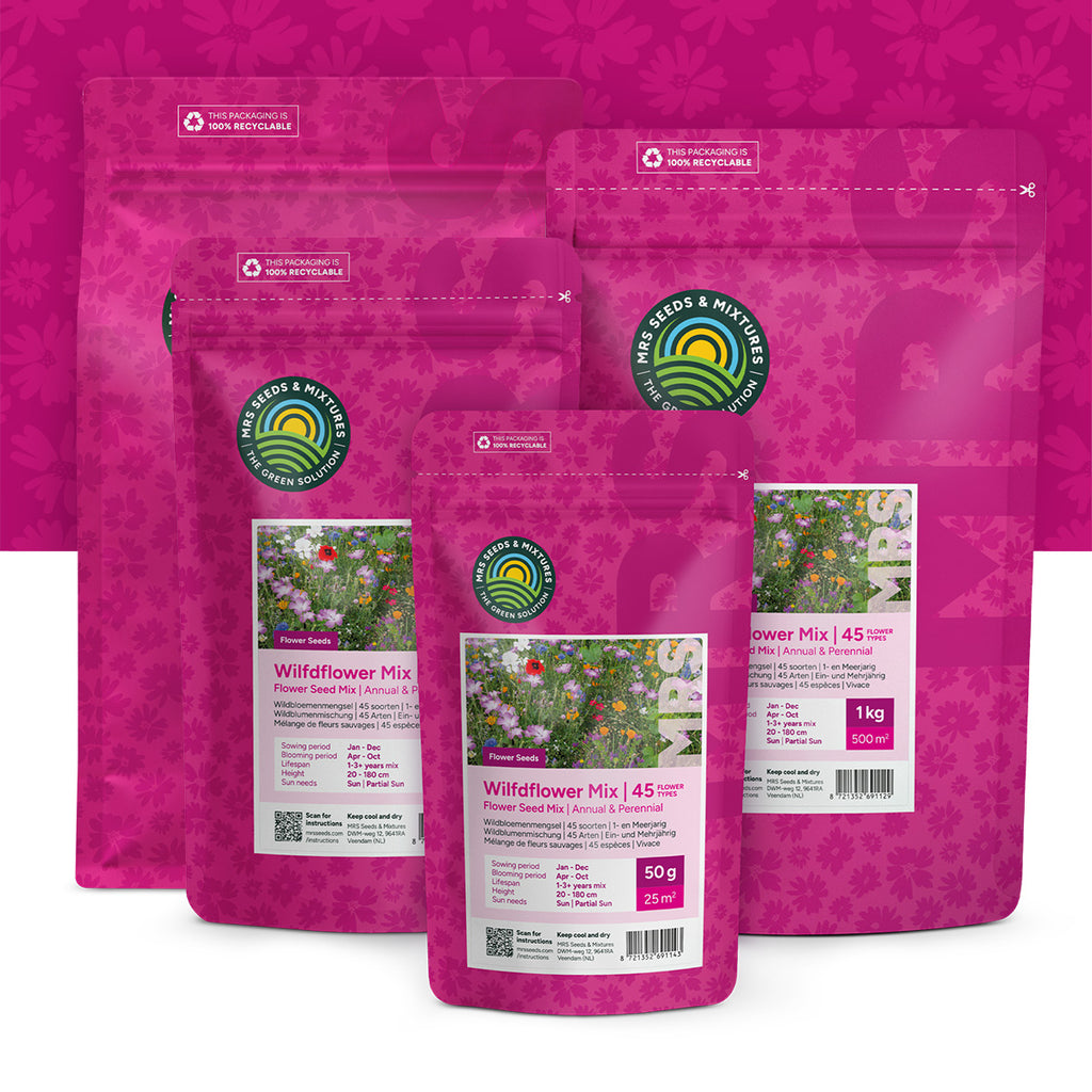 Wildblumenmischung ein- und mehrjährig