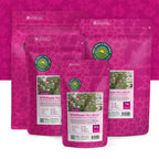 Wildblumenmischung ein- und mehrjährig