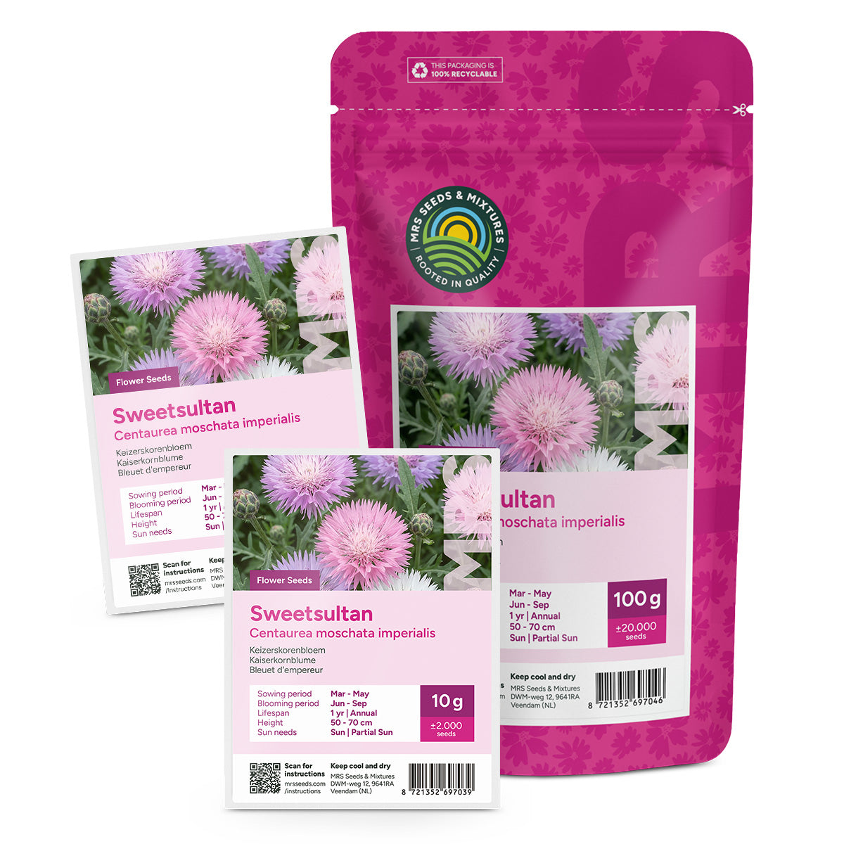 Kaiserkornblume - Centaurea moschata imperialis