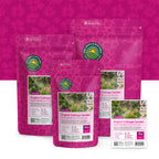 Englischer Cottagegarten Blumenmischung