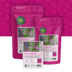 Wildblumenmischung violett – 14 Sorten