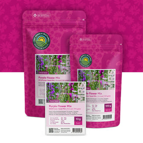 Wildblumenmischung violett – 14 Sorten
