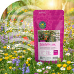 Schmetterlingsblumenmischung - Niedrig blühend