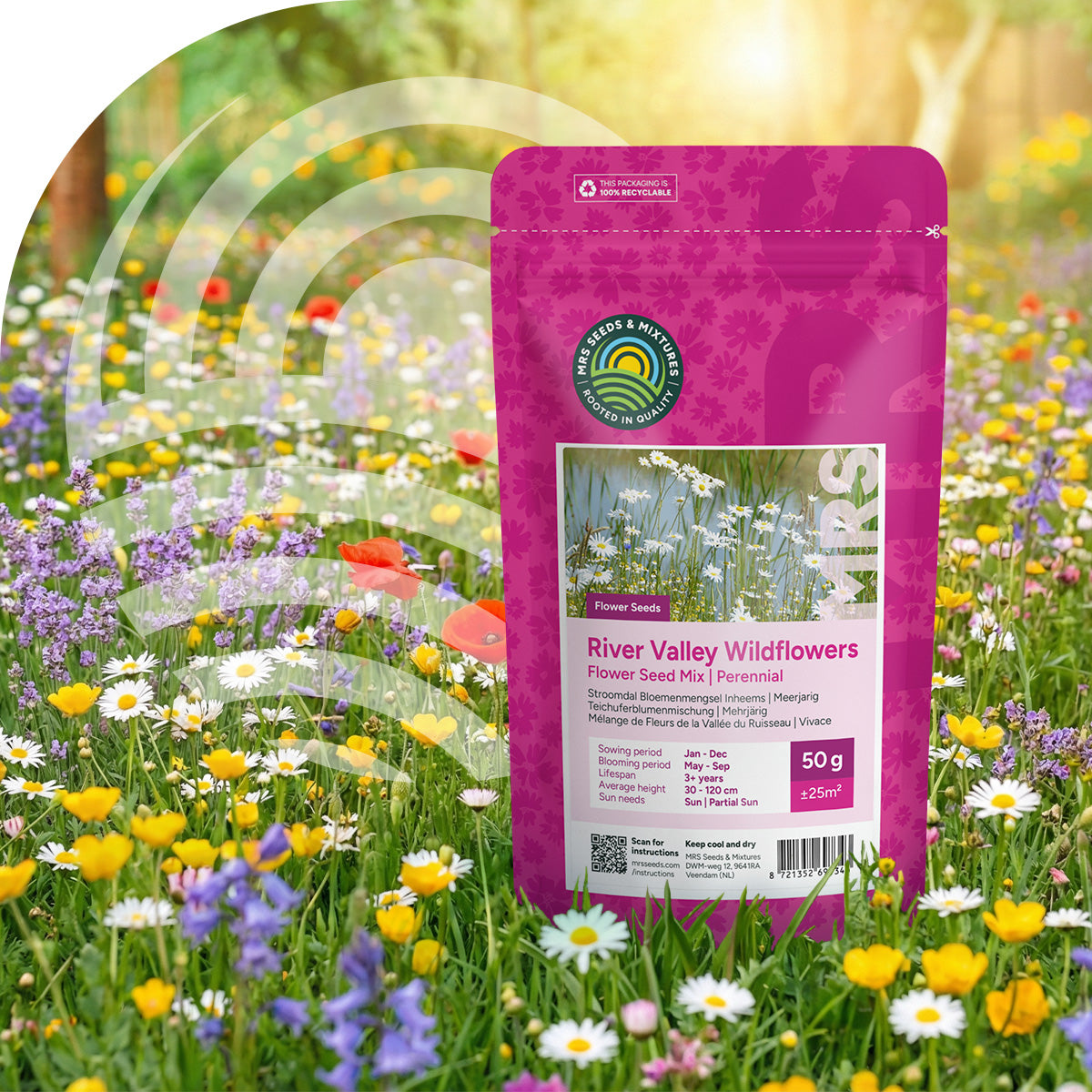 Teichuferblumenmischung – Einheimisch