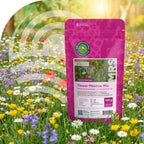 Blumenrasen | Blumenwiese mit Grassamen