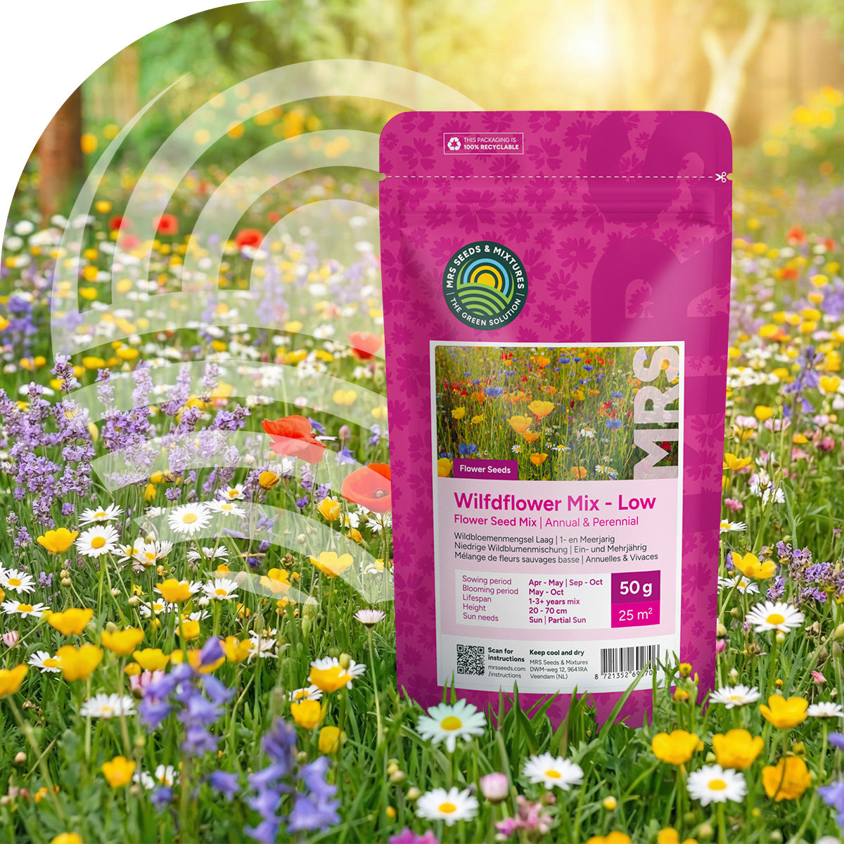 Niedrige Wildblumenmischung 1- und mehrjährig