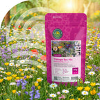 Tübinger Bienenweidemischung