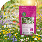 Margeritenmischung 2 – Naturmischung