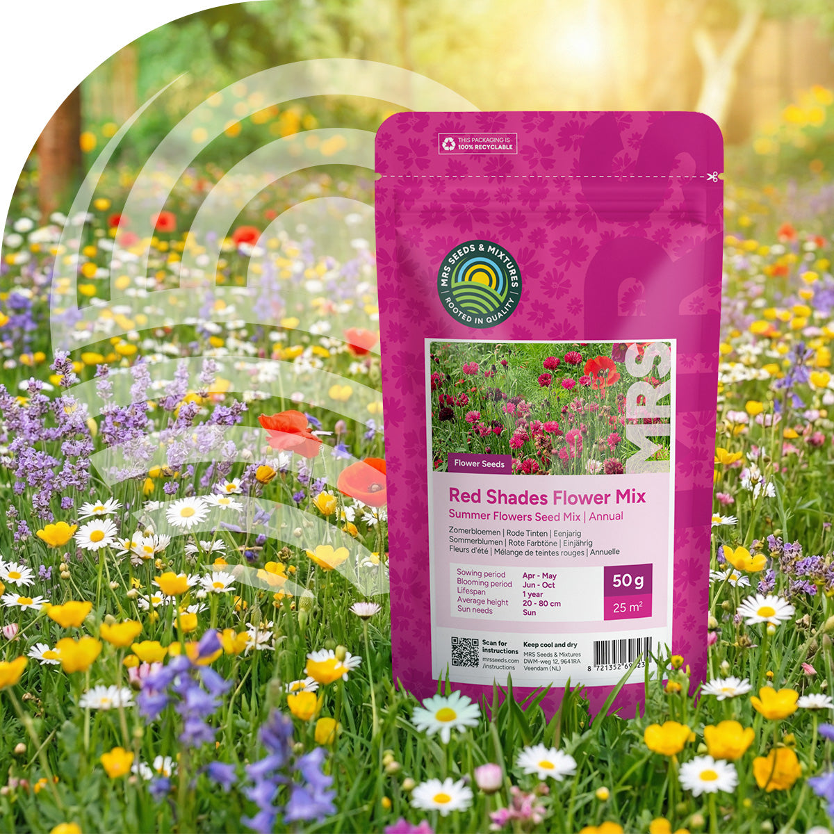 Sommerblumen Rote Farbtöne Mix
