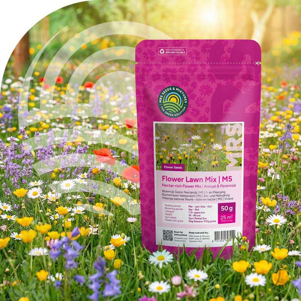 M5 - Blumenrasen (Nektarreich) - Mehrjährig