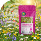 M5 - Blumenrasen (Nektarreich) - Mehrjährig