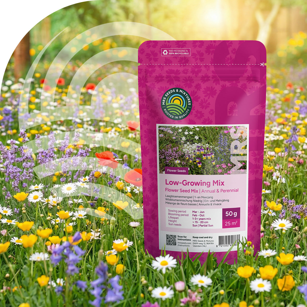Wildblumenmischung niedrig ein- und mehrjährig