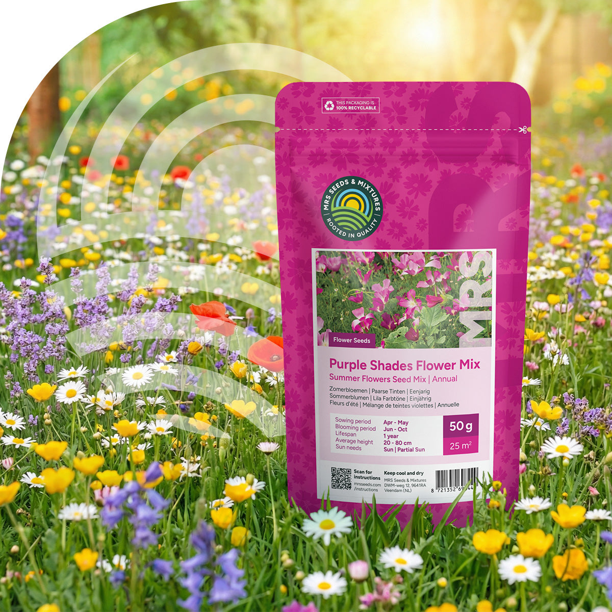 Sommerblumen Lila Farbtöne Mix