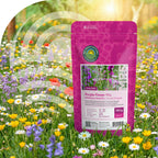 Wildblumenmischung violett – 14 Sorten