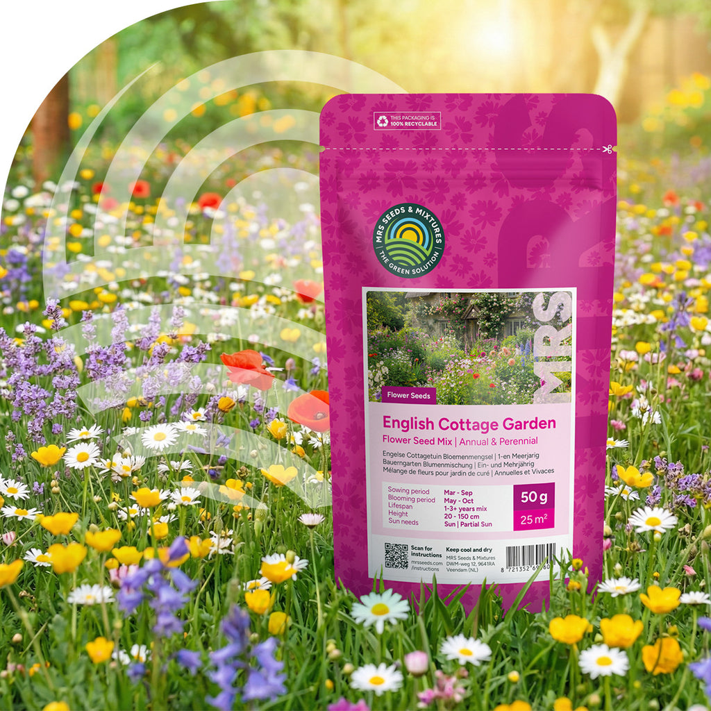 Englischer Cottagegarten Blumenmischung