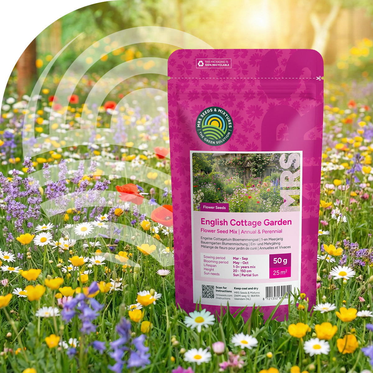 Englischer Cottagegarten Blumenmischung