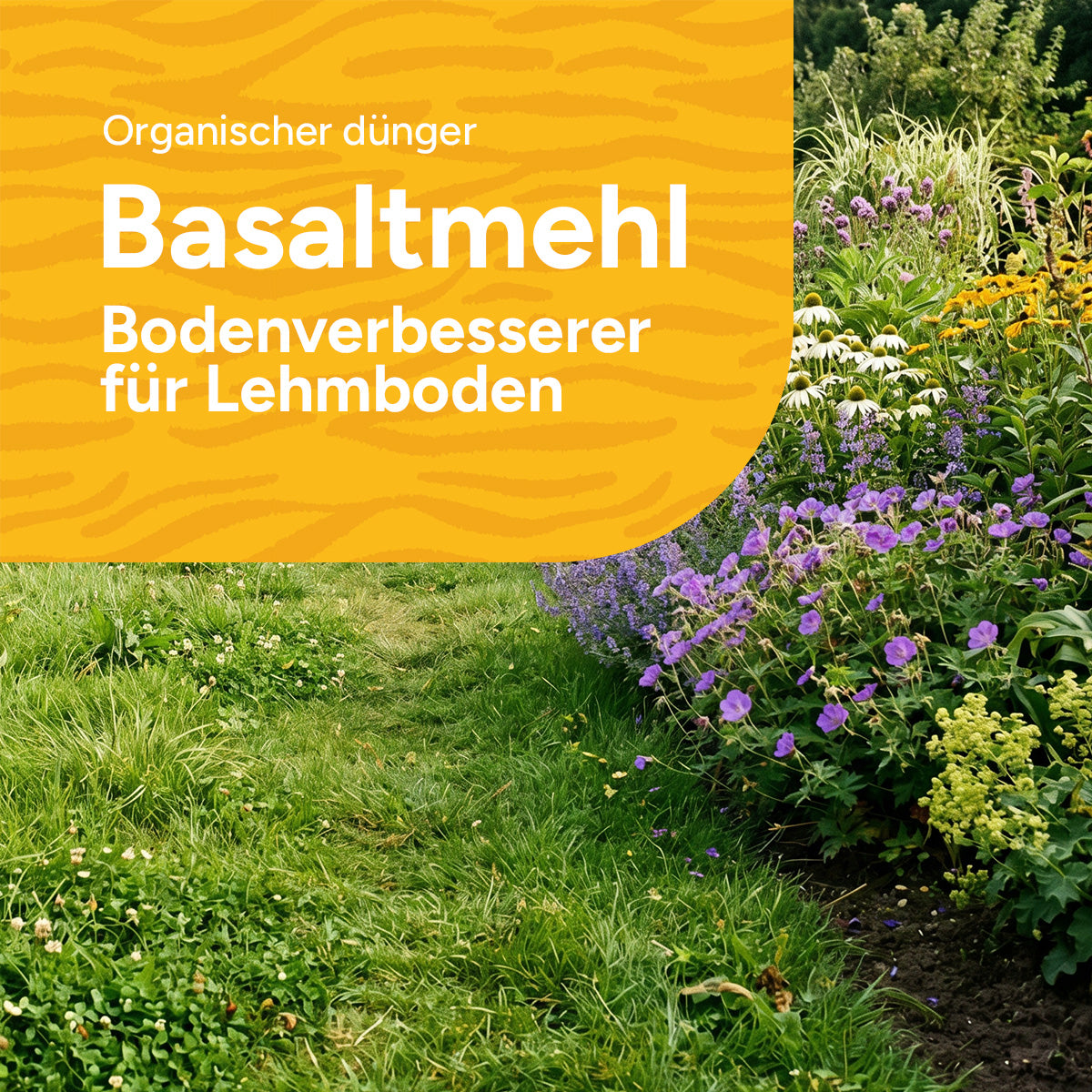 [de]