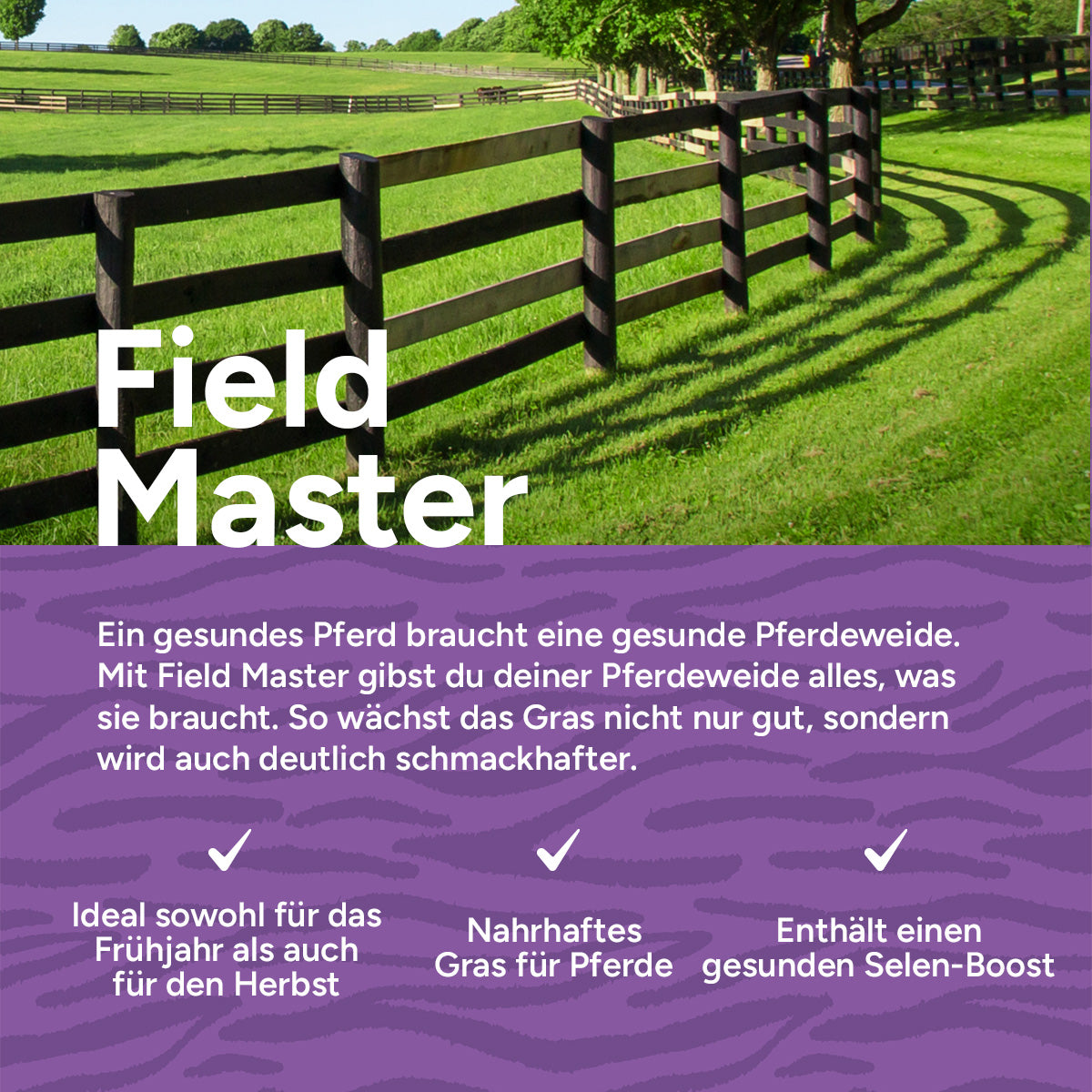 MRS-Seeds-DE-3-USP [de]