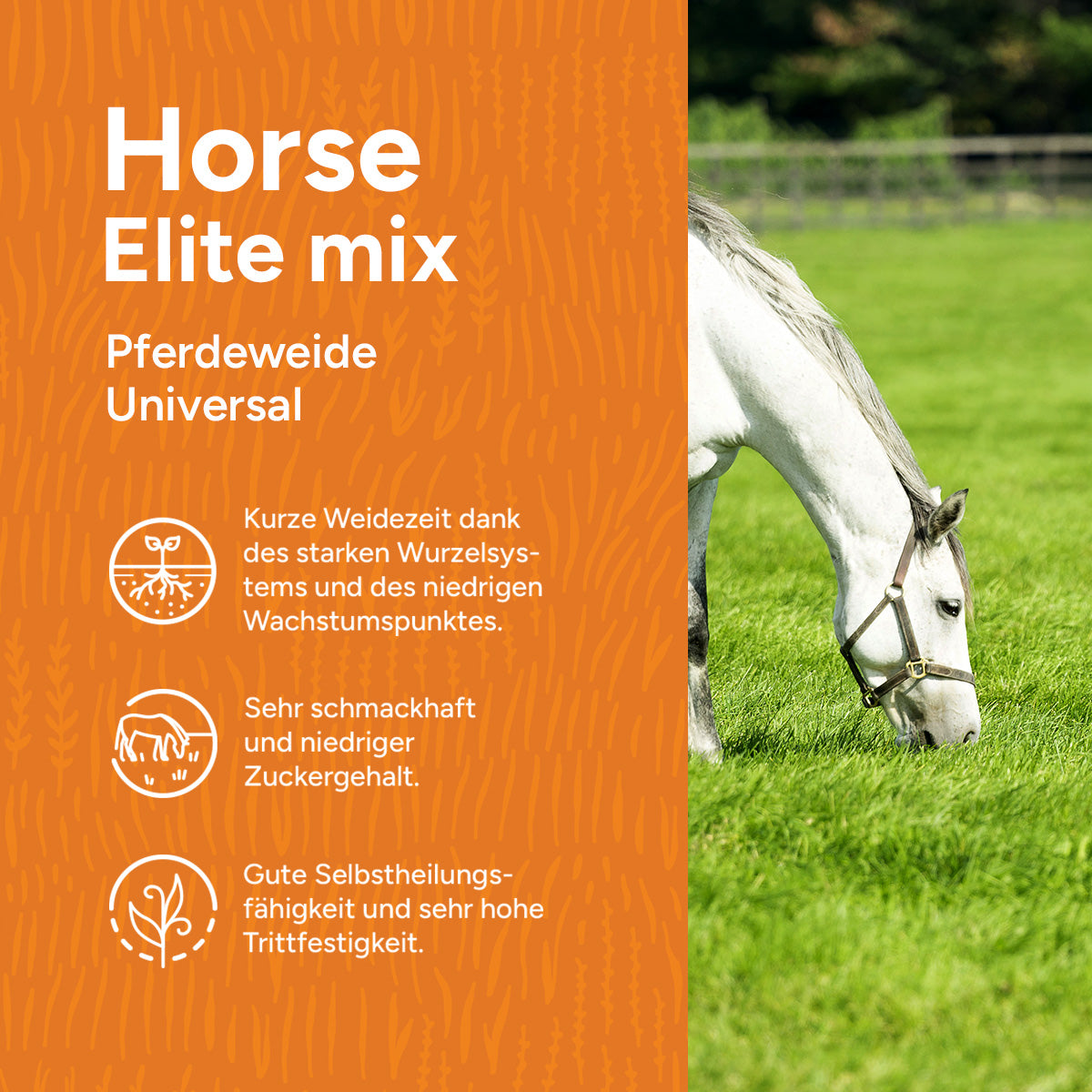 sonnensegel pferdeweide Horse – Elite mix