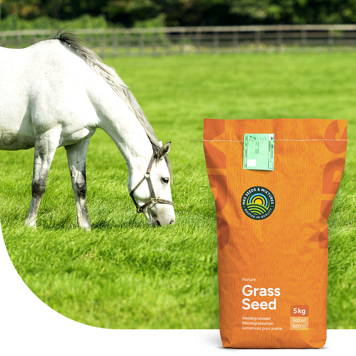 Horse - Elite mix | Pferdeweide Universal