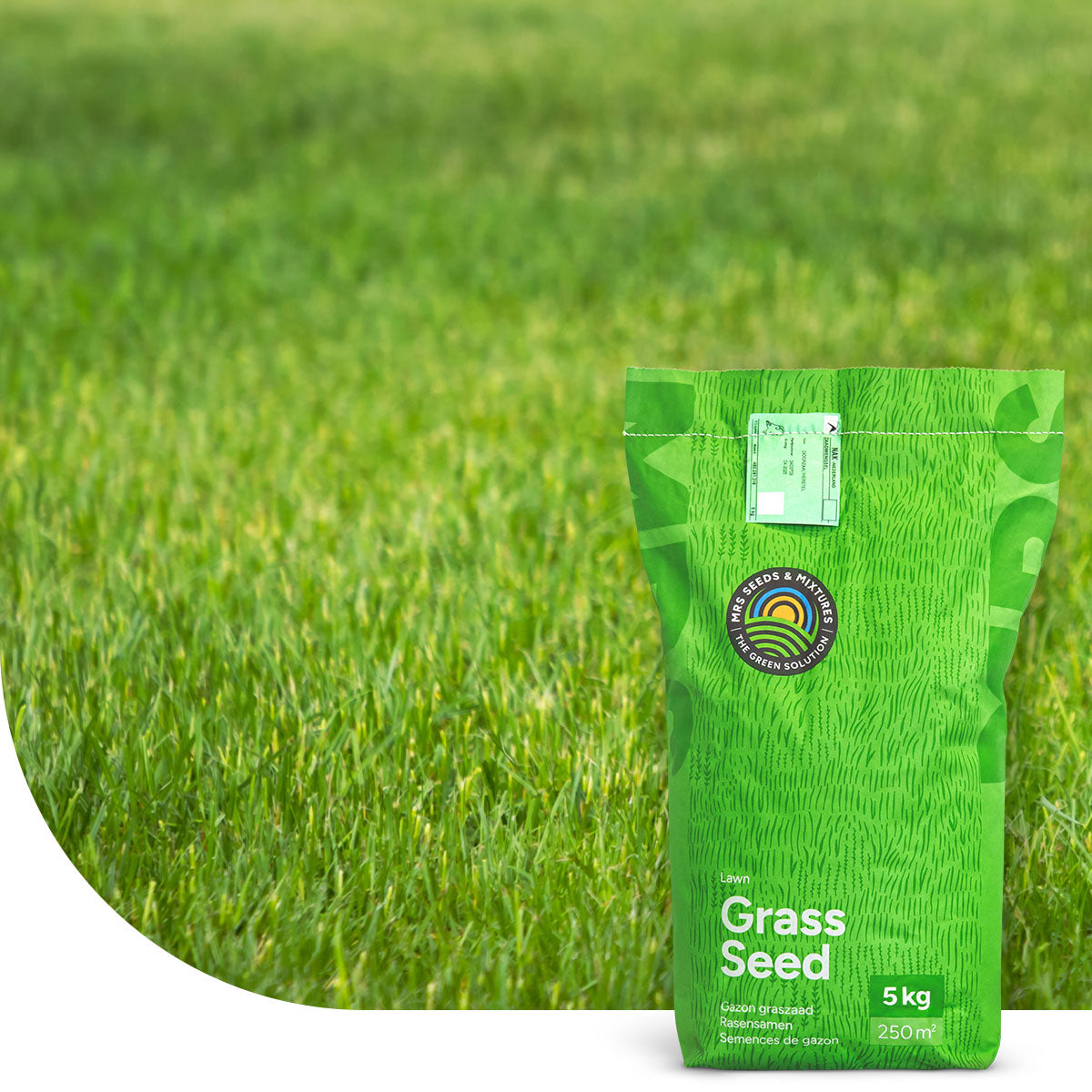 Allround - Grassamen | Gebrauchsrasen