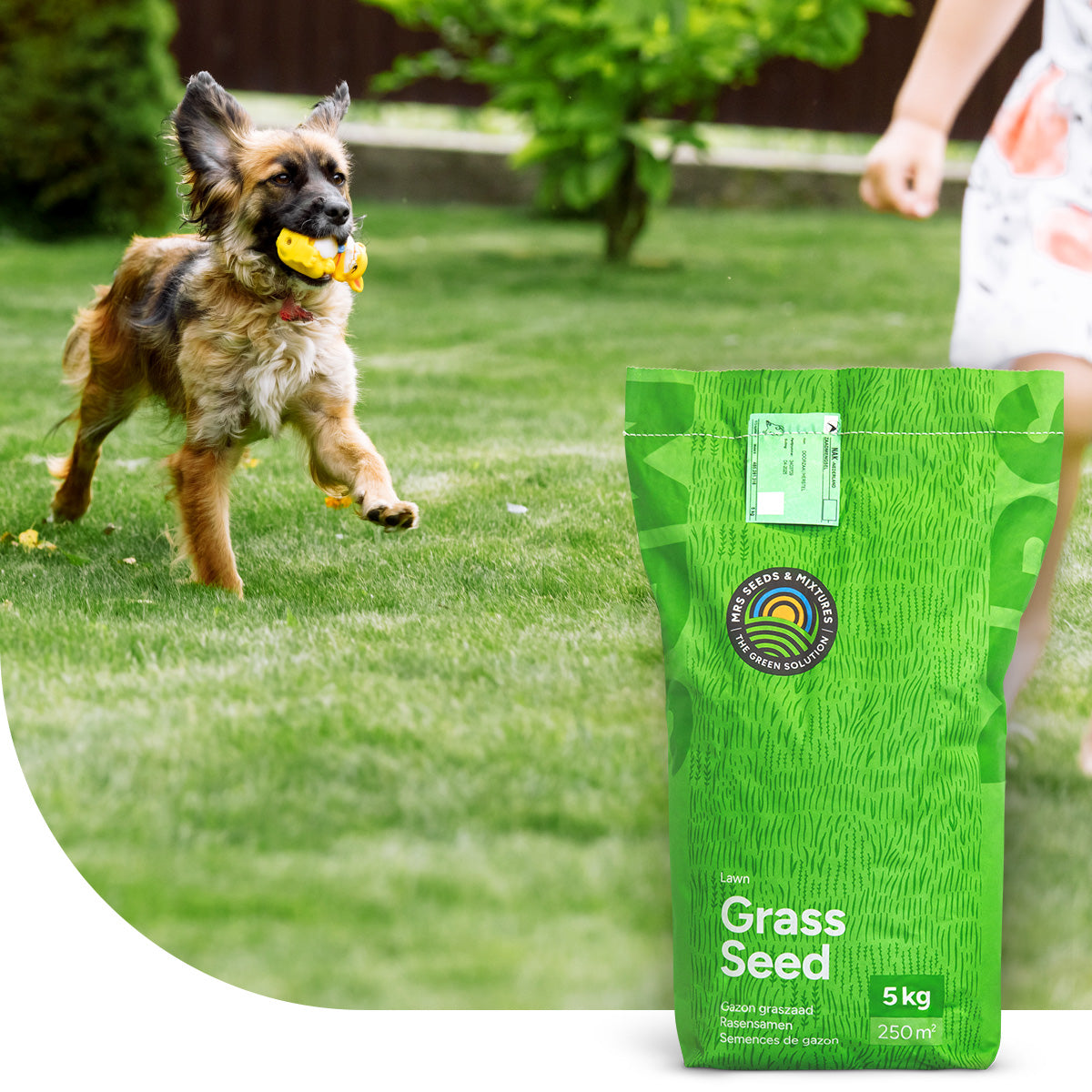 Play & Sport - Sport- und Spielrasen